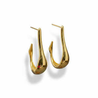 Fish Hook  Earrings